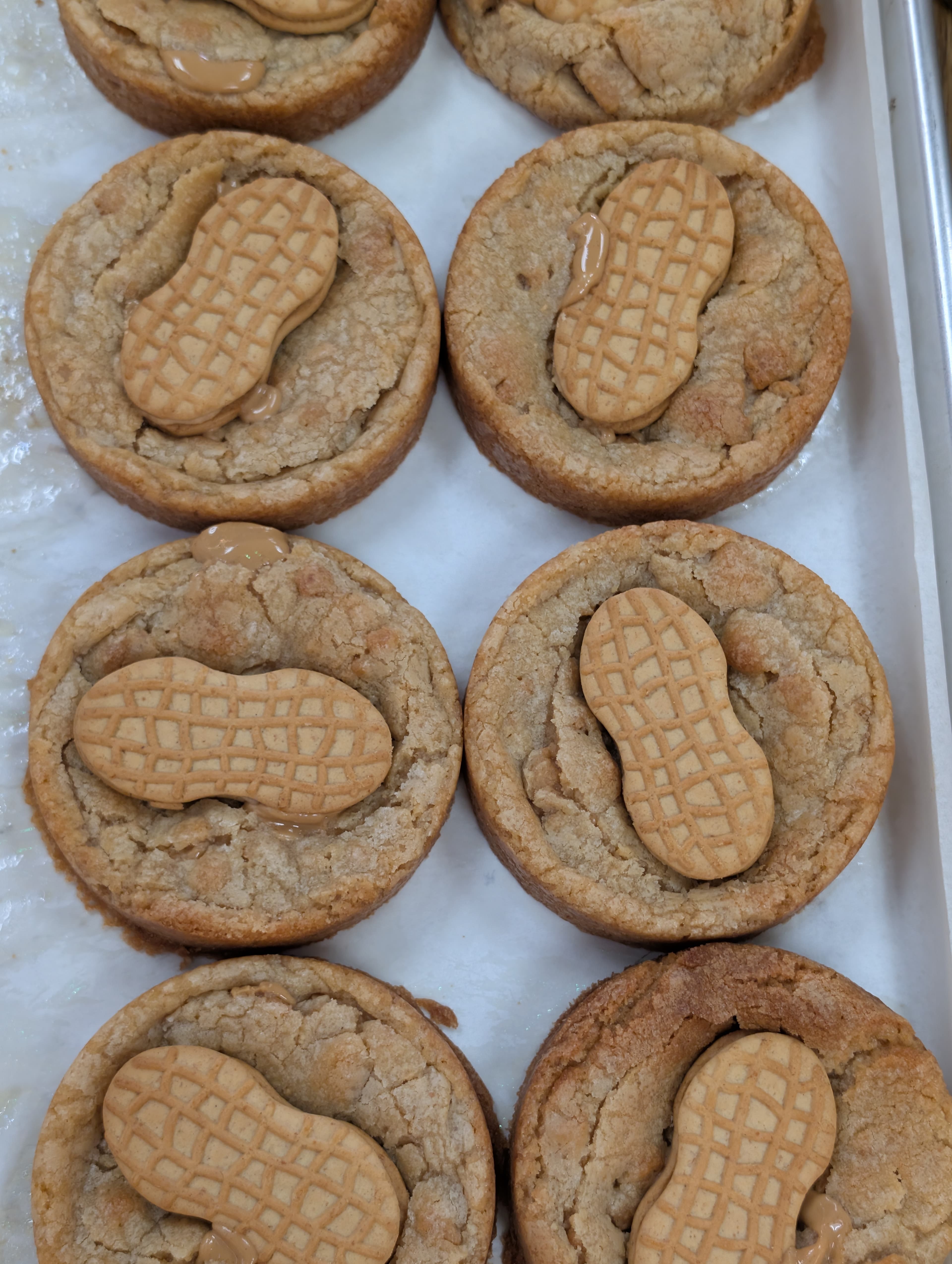 HALVAH SWIRL